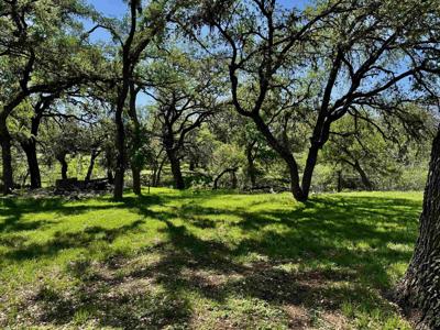 00 Cedar Trail