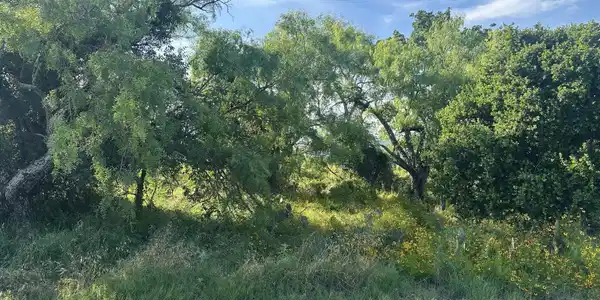 Image 3 Image 3