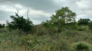 Lot 582 Lake Drive