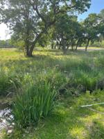 Forest Hills Lot 576