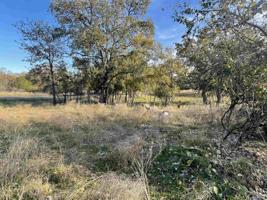 Lot 195 Pecan Lane