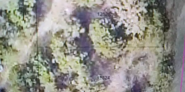 Image 2 Image 2