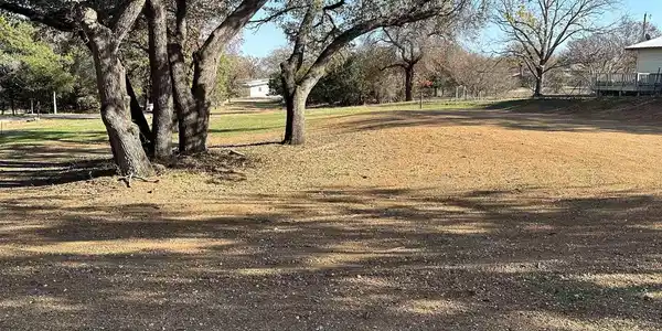 Bunny Lane