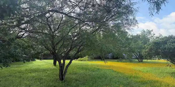 Image 2 Image 2