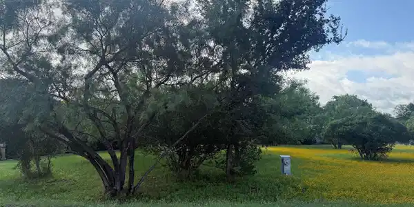 Image 4 Image 4