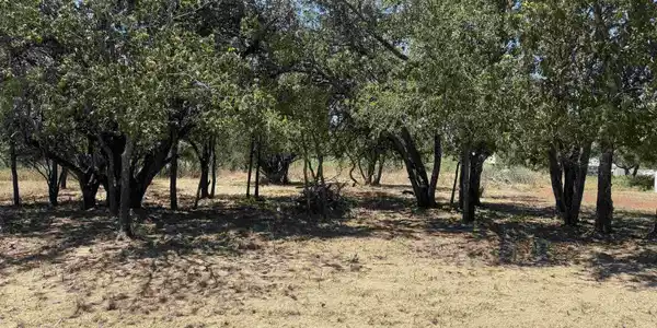 Lot #494 Driftwood Lane