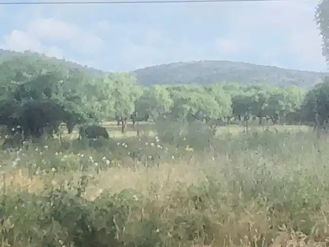Image 1 Image 1