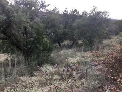 Lot 41131 Dalton Circle
