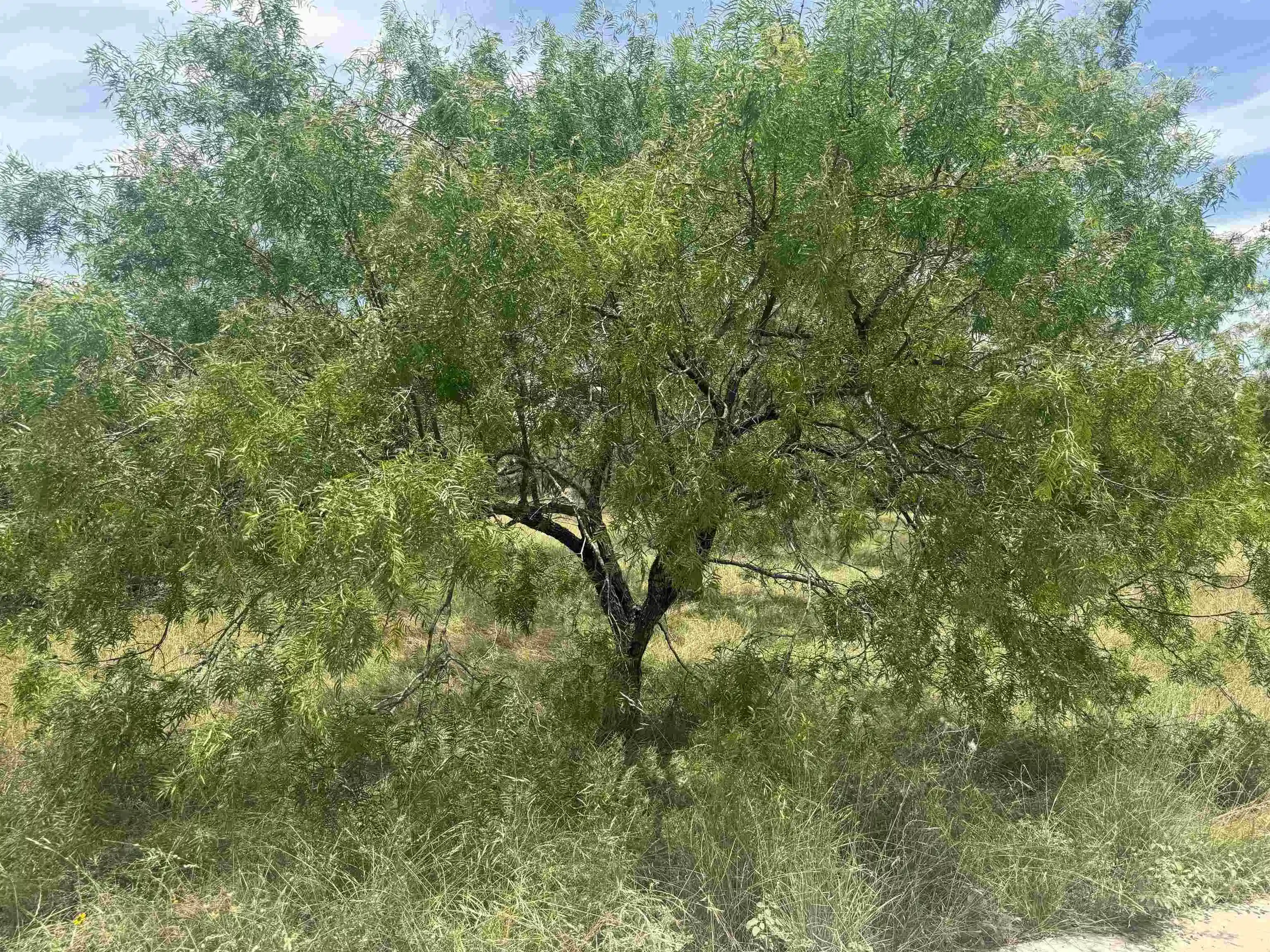 Image 1 Image 1