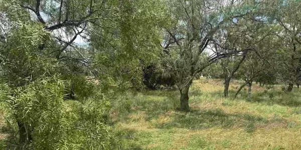 Image 3 Image 3