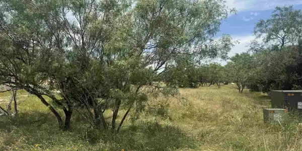 Image 3 Image 3