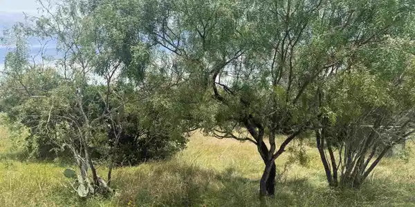 Image 4 Image 4