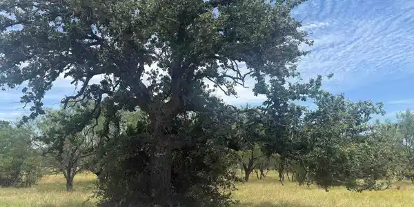 Image 2 Image 2