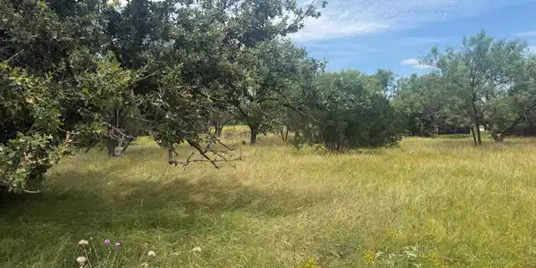 Image 3 Image 3