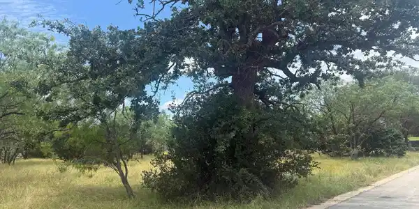 Image 4 Image 4