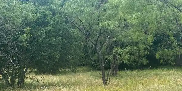Image 2 Image 2