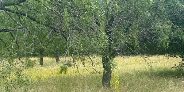 Image 3 Image 3
