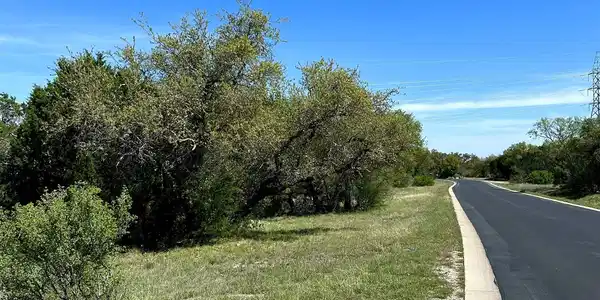 Image 4 Image 4