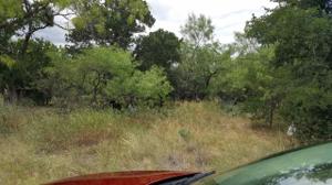 lots 149,150 Moss Valley Lane