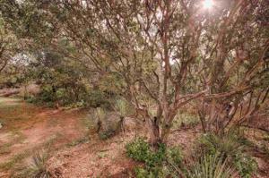 Lot 402 W Castlewood Drive