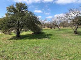 Lot W16025 Sun Ray