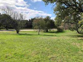 Lot W16024 Sun Ray