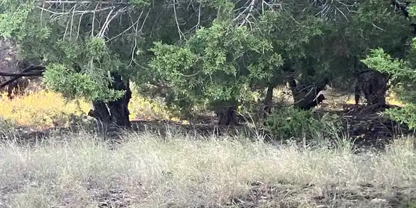 Image 3 Image 3