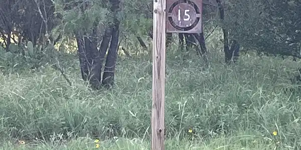 Image 3 Image 3