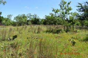 Lot 237-240 Timber Valley Lane