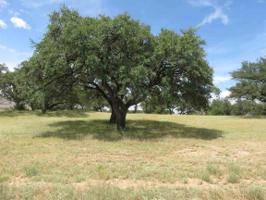 lot Q Kingsland Ranch Rd