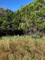 Lot 262 Cypress Ln