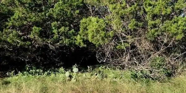 Lot 262 Cypress Ln