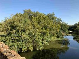 Escondido Lot 261 La Serena Loop