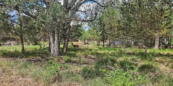 TBD Lot 170 Cypress Lane