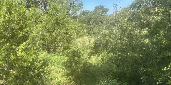 Image 4 Image 4