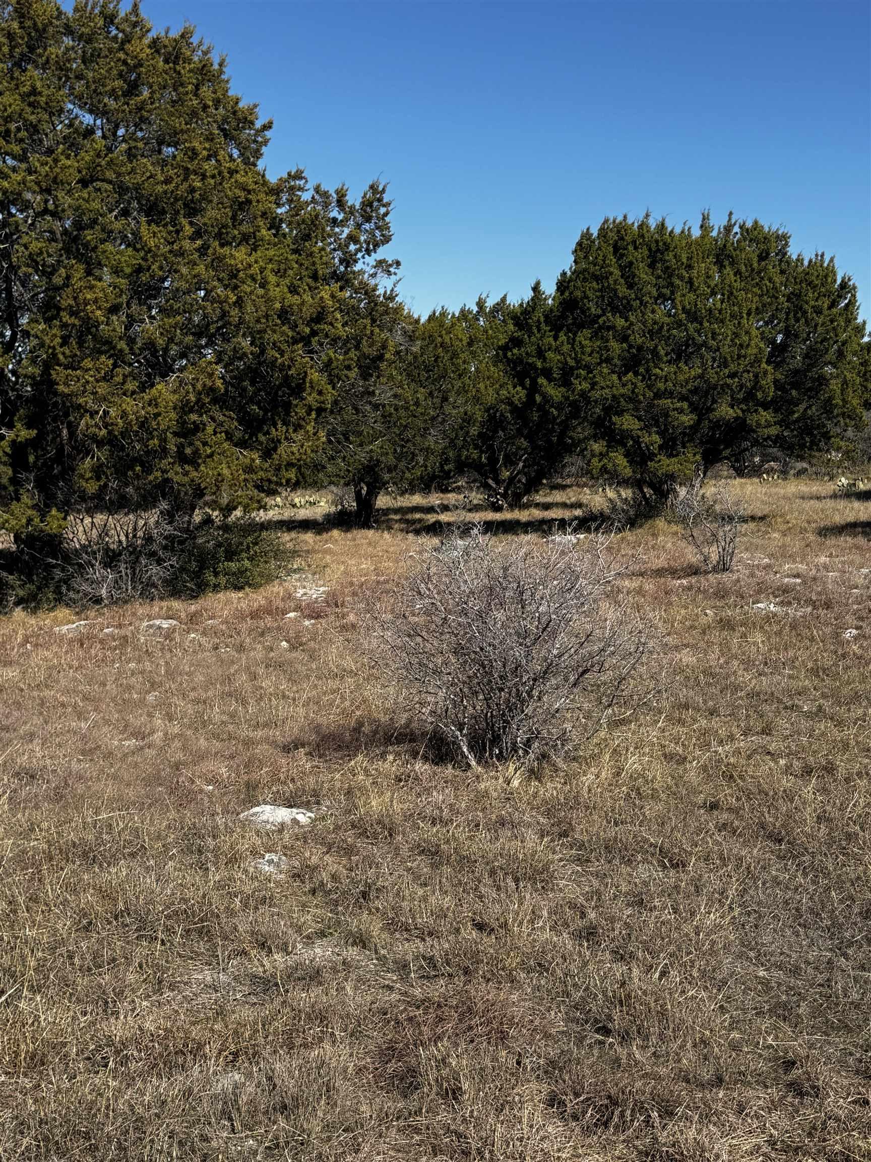 Image 3 Image 3