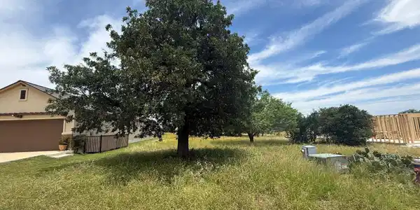 Image 3 Image 3