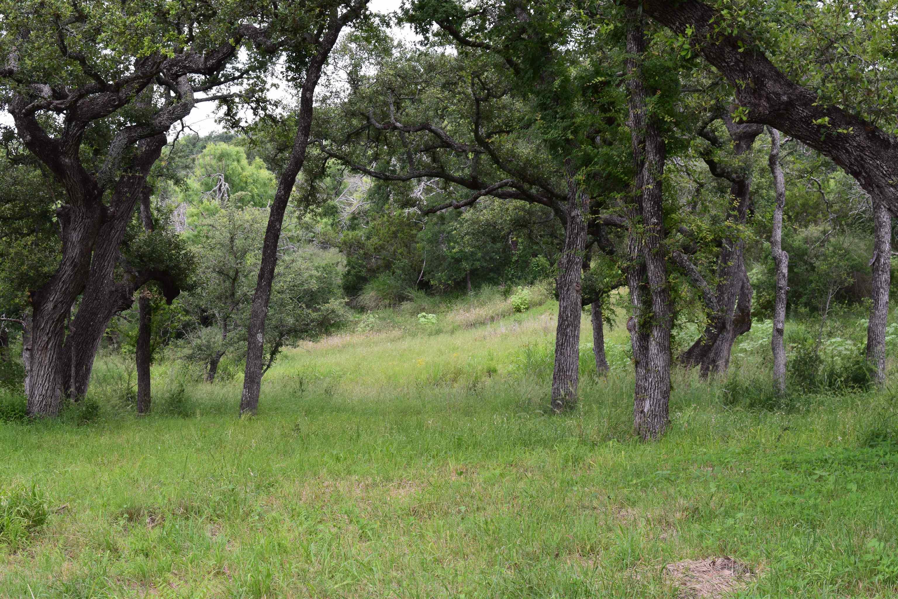 Image 4 Image 4