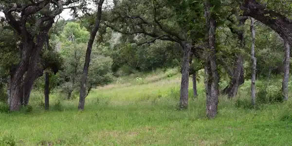 Image 4 Image 4