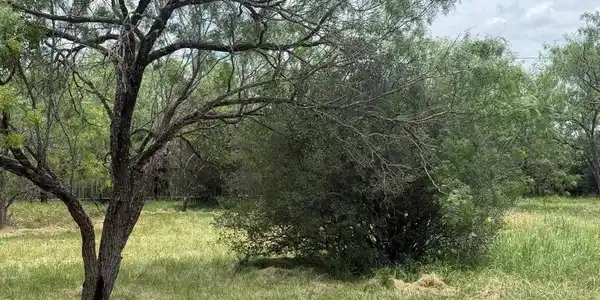 Image 3 Image 3