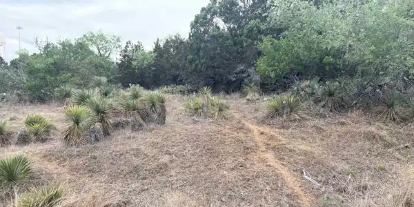Image 4 Image 4