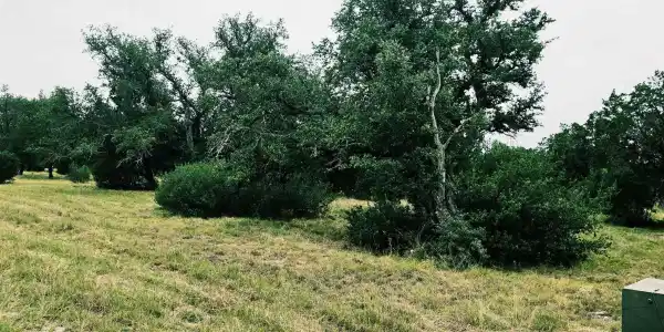 419 Hi Ridge