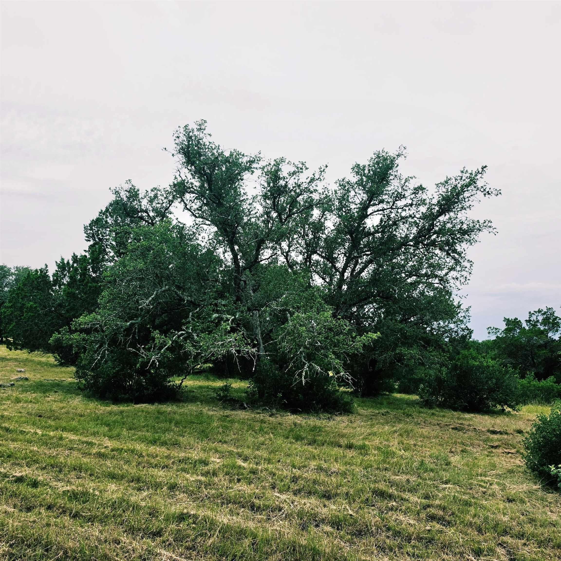 Image 3 Image 3