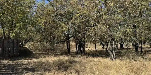 TBD Pecan Lane