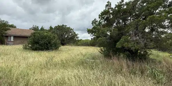 Image 4 Image 4