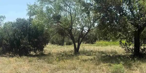 Image 2 Image 2