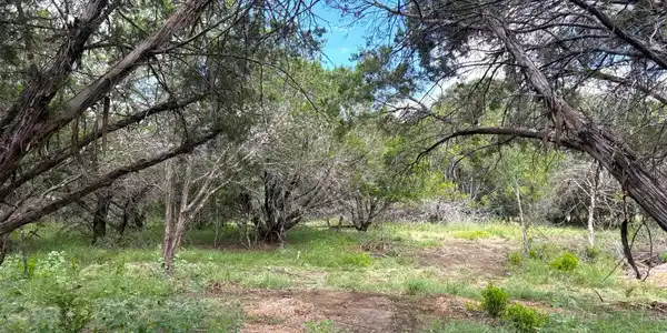 Image 2 Image 2