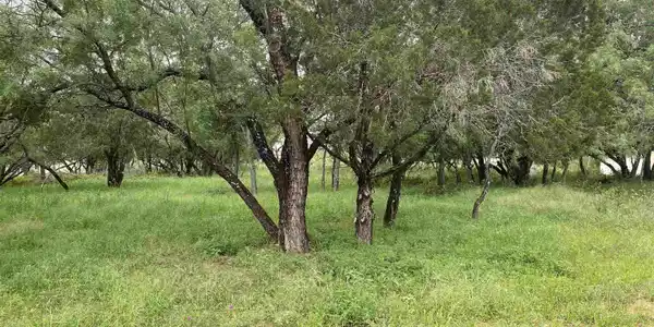 Image 2 Image 2
