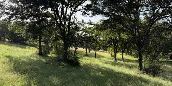Image 4 Image 4