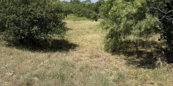 Image 2 Image 2